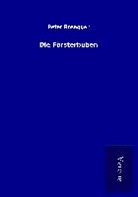 Peter Rosegger - Die Försterbuben