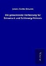 Johann Gustav Droysen - Die gemeinsame Verfassung für Dänemark und Schleswig-Holstein