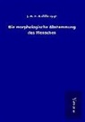 J H F Kohlbrugge, J. H. F. Kohlbrugge - Die morphologische Abstammung des Menschen