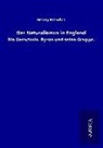 Georg Brandes - Der Naturalismus in England