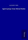 Anastasius Grün - Spaziergänge eines Wiener Poeten