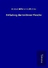 Berend Wilhelm Feddersen - Entladung der Leidener Flasche