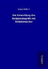 Eugen Huber - Die Entwicklung des Religionsbegriffs bei Schleiermacher