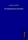 Jeremias Gotthelf - Die Wassernot im Emmental