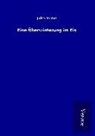 Jules Verne - Eine Überwinterung im Eis
