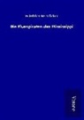 Friedrich Gerstäcker - Die Flusspiraten des Mississippi