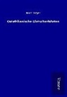 Hans Meyer - Ostafrikanische Gletscherfahrten