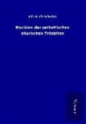 Friedrich Schmidt - Revision der ostbaltischen silurischen Trilobiten