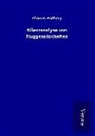 Thomas Padberg - Bilanzanalyse von Fluggesellschaften