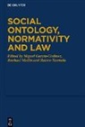 Miguel Garcia-Godinez, Rachae Mellin, Rachael Mellin, Raimo Tuomela - Social Ontology, Normativity and Law