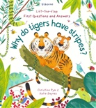 Katie Daynes, Daynes Katie, Daynes/pym, Christine Pym, CHRISTINE PYM, Christine Pym... - Why Do Tigers Have Stripes Lift The Flap First Questions and Answer
