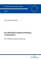 Chiir Anthony Gbellu - Die öffentliche Hauptverhandlung in Strafsachen