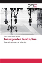 Pedro Anibal Celedón Bañados - Insurgentes Norte/Sur.
