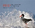 Bird Photographer of the Year, Bird Photographer of the Year - Bird Photographer of the Year