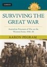 Aaron Pegram, Aaron (Australian War Memorial) Pegram, Pegram Aaron - Surviving the Great War