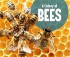 Lucia Raatma, Lucia Tarbox Raatma, RAATMA LUCIA - A Colony of Bees