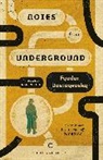 Fyodor Dostoyevsky - Notes From Underground