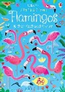 Kirsteen Robson, Robson Kirsteen, Gareth Lucas, Lucas Gareth - Flamingos