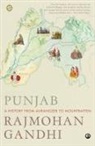 Rajmohan Gandhi - Punjab