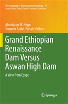 Abdel-Fattah, Abdel-Fattah, Sommer Abdel-Fattah, Abdelazi M Negm, Abdelazim M Negm, Abdelazim M Negm... - Grand Ethiopian Renaissance Dam Versus Aswan High Dam