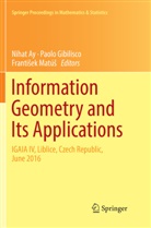 Nihat Ay, Paol Gibilisco, Paolo Gibilisco, Franti¿ek Matú¿, Frantisek Matús - Information Geometry and Its Applications