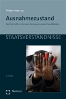 Rüdige Voigt, Rüdiger Voigt - Ausnahmezustand