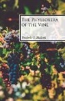 Frederic T. Bioletti - The Phylloxera of the Vine