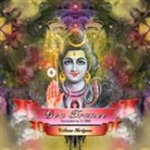 Various - Goa Trance. Vol.41, 2 Audio-CDs (Hörbuch)