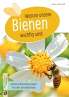 Holger Mittelstädt - Warum unsere Bienen wichtig sind