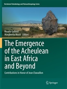 Rosali Gallotti, Rosalia Gallotti, Mussi, Mussi, Margherita Mussi - The Emergence of the Acheulean in East Africa and Beyond