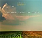 Larry Kanfer - Prairie State of Mind