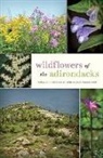 Donald J Leopold, Donald J. Leopold, Donald J. (Distinguished Teaching Profess Leopold, Donald J. (Distinguished Teaching Professor and Chair Leopold, Donald J./ Musselman Leopold, Lytton John Musselman... - Wildflowers of the Adirondacks