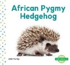 Julie Murray - African Pygmy Hedgehog