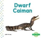Julie Murray - Dwarf Caiman