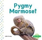 Julie Murray - Pygmy Marmoset