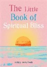 Ashley Davis Bush, Ashley Davis Bush - The Little Book of Spiritual Bliss