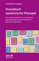 Elisabeth Wagner - Praxisbuch Systemische Therapie (Leben Lernen, Bd. 313)