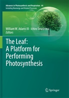William W. Adams, William W. Adams III, Terashima, Terashima, Ichiro Terashima, Willia W Adams III... - The Leaf: A Platform for Performing Photosynthesis