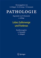Klöppel, Klöppel, Günter Klöppel, Andre Tannapfel, Andrea Tannapfel - Pathologie
