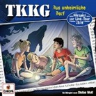 Stefan Wolf - Ein Fall für TKKG - Das unheimliche Dorf, 1 Audio-CD (Audio book)