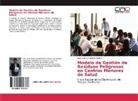 Jorge Damian Rondan Ramos - Modelo de Gestión de Residuos Peligrosos en Centros Menores de Salud
