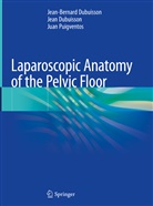 Jea Dubuisson, Jean Dubuisson, Jean-Bernar Dubuisson, Jean-Bernard Dubuisson, Puigventos, Juan Puigventos - Laparoscopic Anatomy of the Pelvic Floor