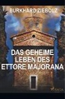 Burkhard Ziebolz - Das geheime Leben des Ettore Majorana - Kriminalroman