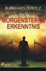 Burkhard Ziebolz - Morgensterns Erkenntnis - Kriminalroman aus Niedersachsen