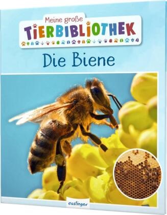 Paul Starosta - Meine große Tierbibliothek: Die Biene - Sachbuch für Vorschule & Grundschule. Mit detailreichen Fotos und großer Schrift perfekt für Vor- und Grundschule