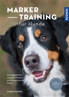 Ulrike Seumel - Marker-Training für Hunde