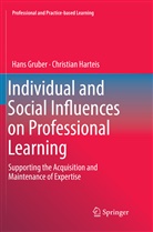 Han Gruber, Hans Gruber, Christian Harteis - Individual and Social Influences on Professional Learning