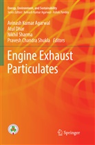 Avinash Kumar Agarwal, Atu Dhar, Atul Dhar, Nikhil Sharma, Nikhil Sharma et al, Pravesh Chandra Shukla - Engine Exhaust Particulates