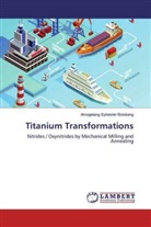 Amogelang Sylvester Bolokang - Titanium Transformations
