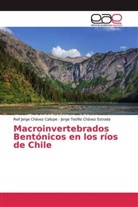 Reif Jorg Chávez Callupe, Reif Jorge Chávez Callupe, Jorge T Chávez Estrada, Jorge Teófilo Chávez Estrada - Macroinvertebrados Bentónicos en los ríos de Chile